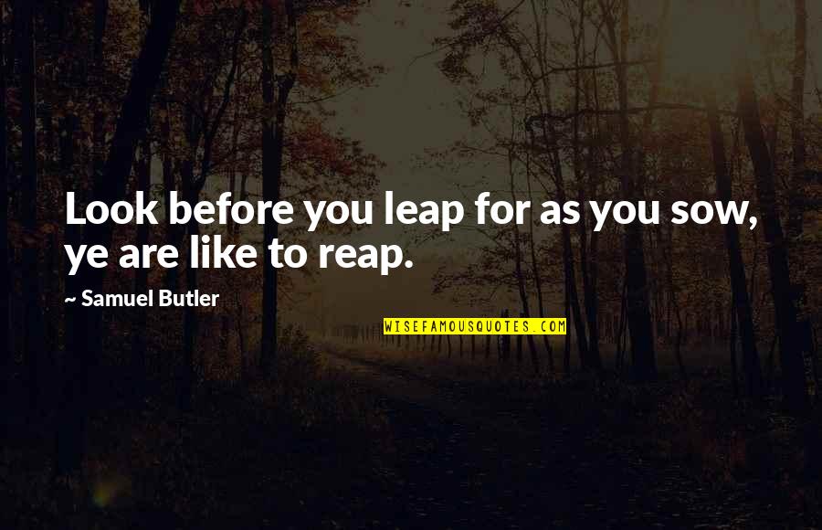 Samuel Butler Quotes By Samuel Butler: Look before you leap for as you sow, Samuel Butler Quotes By Samuel Butler: Look before you leap for as you sow,