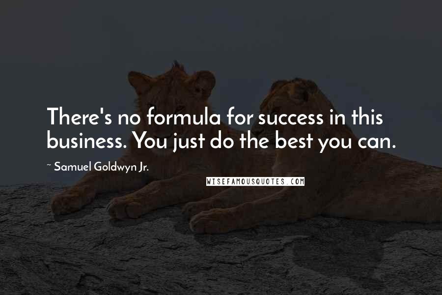 Samuel Goldwyn Jr. quotes: There's no formula for success in this business. You just do the best you can.