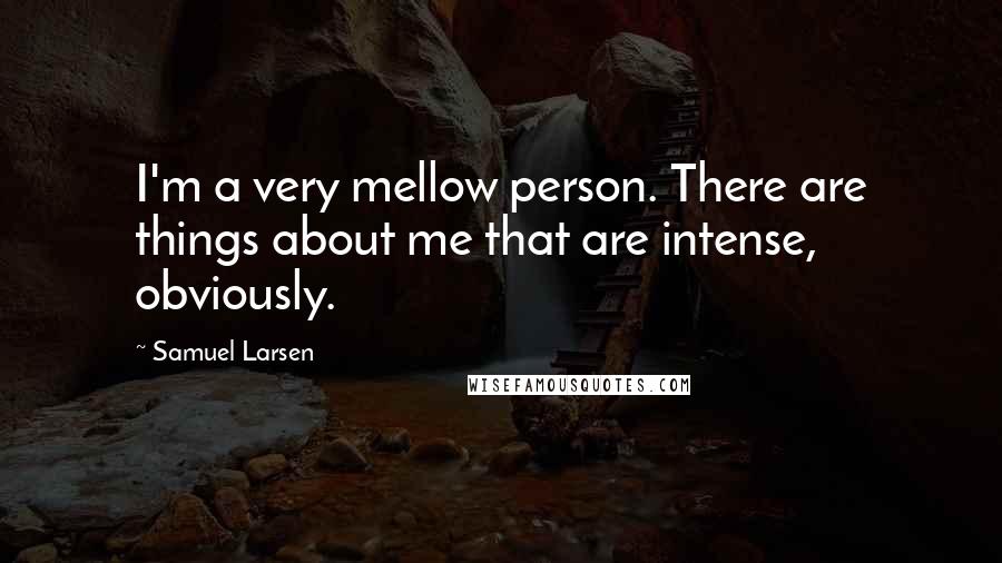 Samuel Larsen quotes: I'm a very mellow person. There are things about me that are intense, obviously.