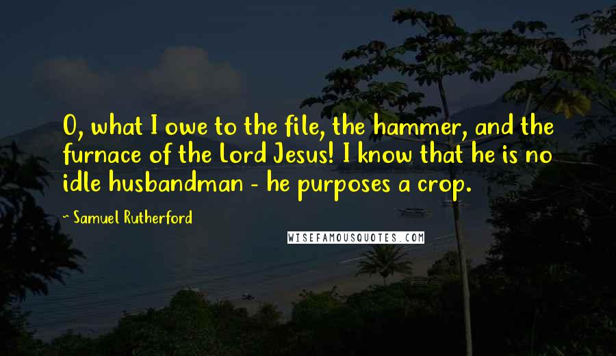 Samuel Rutherford quotes: O, what I owe to the file, the hammer, and the furnace of the Lord Jesus! I know that he is no idle husbandman - he purposes a crop.