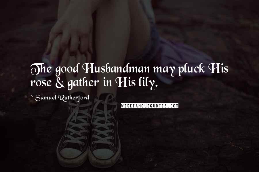 Samuel Rutherford quotes: The good Husbandman may pluck His rose & gather in His lily.