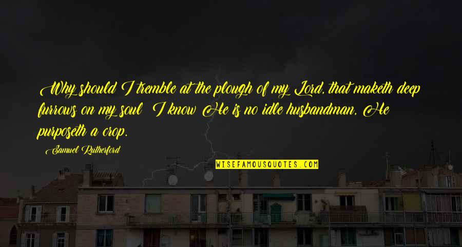 Samuel Rutherford Quotes By Samuel Rutherford: Why should I tremble at the plough of Samuel Rutherford Quotes By Samuel Rutherford: Why should I tremble at the plough of