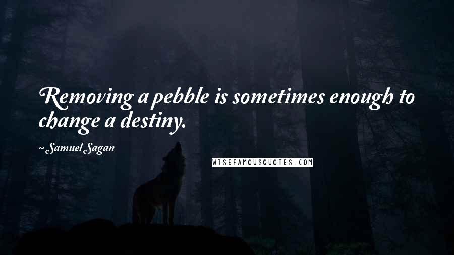 Samuel Sagan quotes: Removing a pebble is sometimes enough to change a destiny.