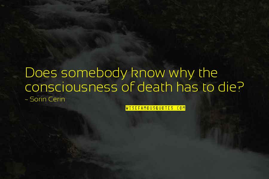 Samurus Quotes By Sorin Cerin: Does somebody know why the consciousness of death