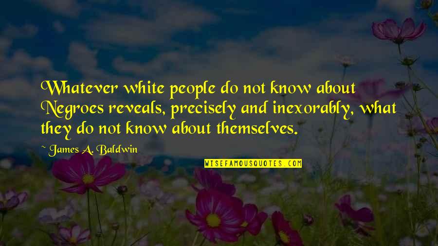 Samuser Passe Quotes By James A. Baldwin: Whatever white people do not know about Negroes