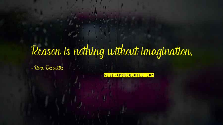 San Felipe Neri Quotes By Rene Descartes: Reason is nothing without imagination.