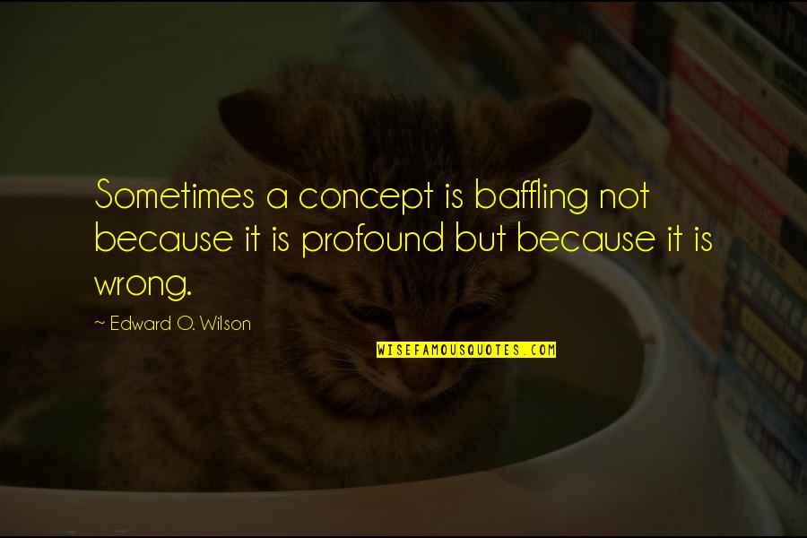 San Jorge And The Dragon Quotes By Edward O. Wilson: Sometimes a concept is baffling not because it