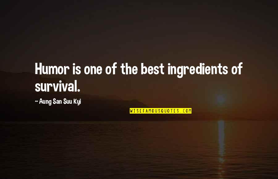 San Suu Kyi Quotes By Aung San Suu Kyi: Humor is one of the best ingredients of San Suu Kyi Quotes By Aung San Suu Kyi: Humor is one of the best ingredients of