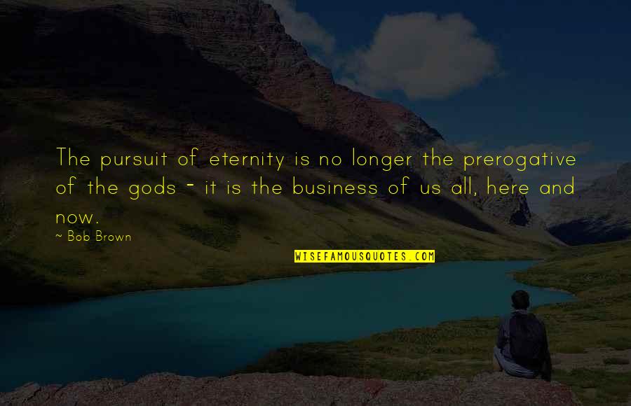 Sanar Quotes By Bob Brown: The pursuit of eternity is no longer the