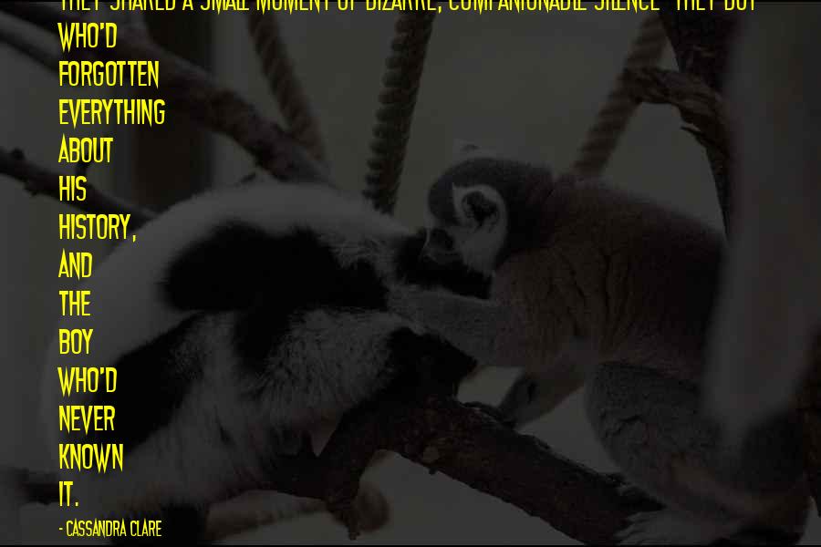 Sanath Nishantha Quotes By Cassandra Clare: They shared a small moment of bizarre, companionable