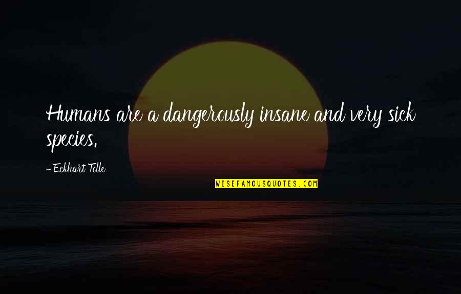 Sanatsal Bilgi Quotes By Eckhart Tolle: Humans are a dangerously insane and very sick Sanatsal Bilgi Quotes By Eckhart Tolle: Humans are a dangerously insane and very sick