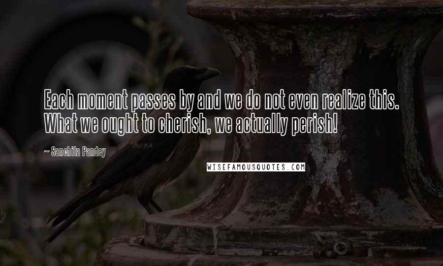 Sanchita Pandey quotes: Each moment passes by and we do not even realize this. What we ought to cherish, we actually perish! Sanchita Pandey quotes: Each moment passes by and we do not even realize this. What we ought to cherish, we actually perish!