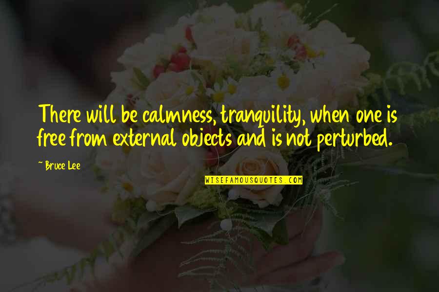 Sancta Quotes By Bruce Lee: There will be calmness, tranquility, when one is
