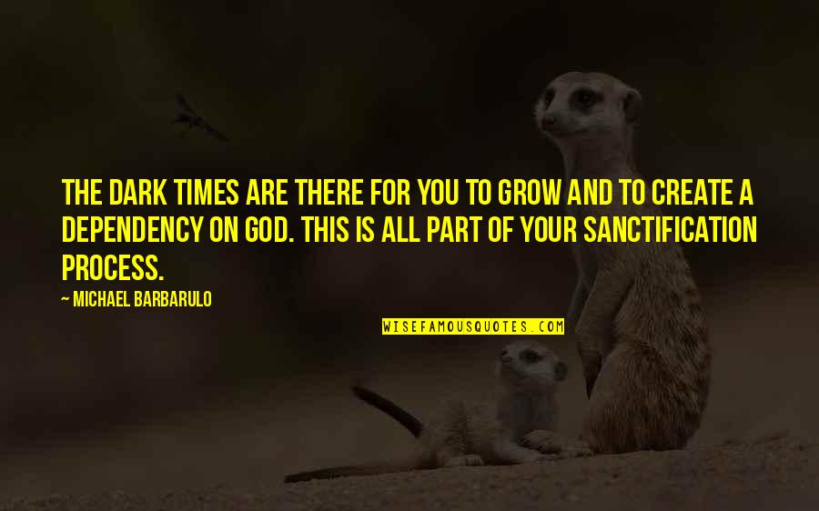 Sanctification Quotes By Michael Barbarulo: The dark times are there for you to