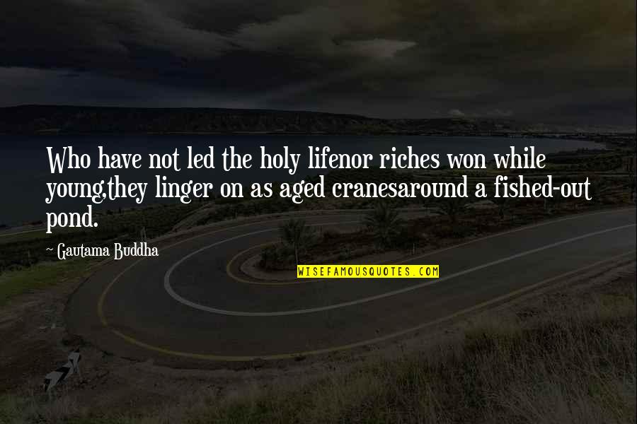 Sanctuaried Quotes By Gautama Buddha: Who have not led the holy lifenor riches
