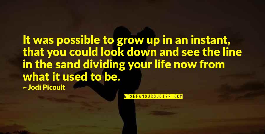 Sand And Life Quotes By Jodi Picoult: It was possible to grow up in an