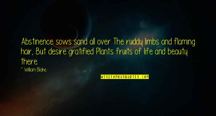 Sand And Life Quotes By William Blake: Abstinence sows sand all over The ruddy limbs