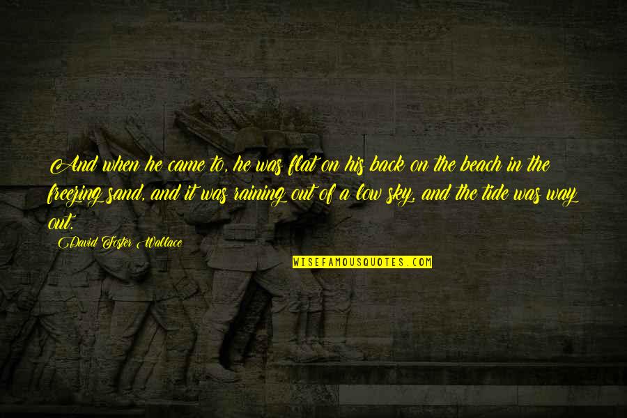 Sand And Sky Quotes By David Foster Wallace: And when he came to, he was flat Sand And Sky Quotes By David Foster Wallace: And when he came to, he was flat