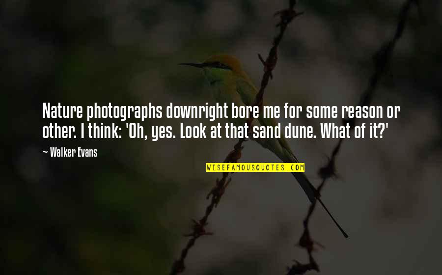 Sand Dune Quotes By Walker Evans: Nature photographs downright bore me for some reason