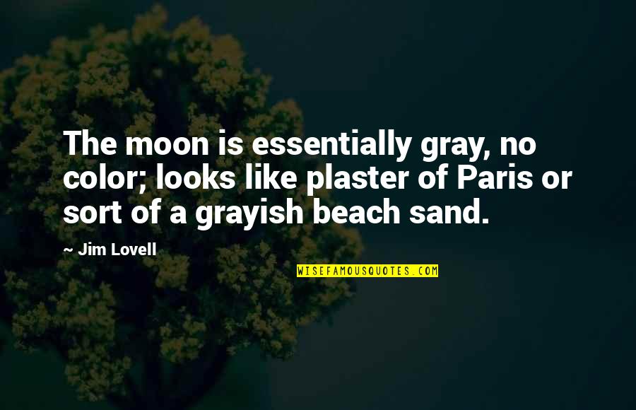 Sand In The Beach Quotes By Jim Lovell: The moon is essentially gray, no color; looks