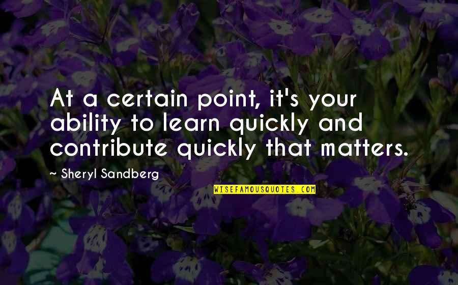 Sandberg Quotes By Sheryl Sandberg: At a certain point, it's your ability to