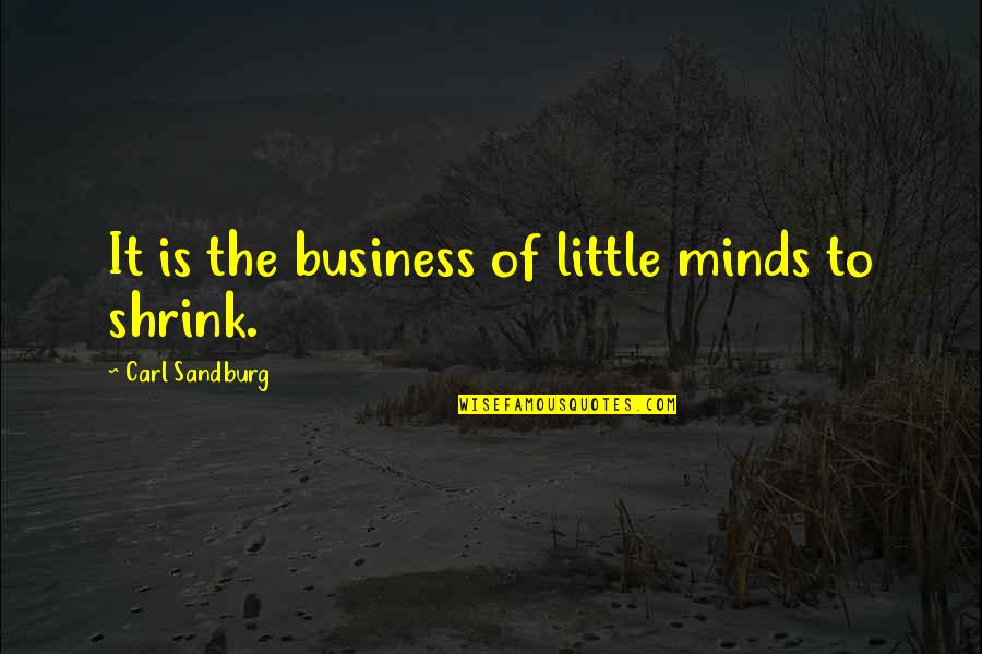 Sandburg's Quotes By Carl Sandburg: It is the business of little minds to