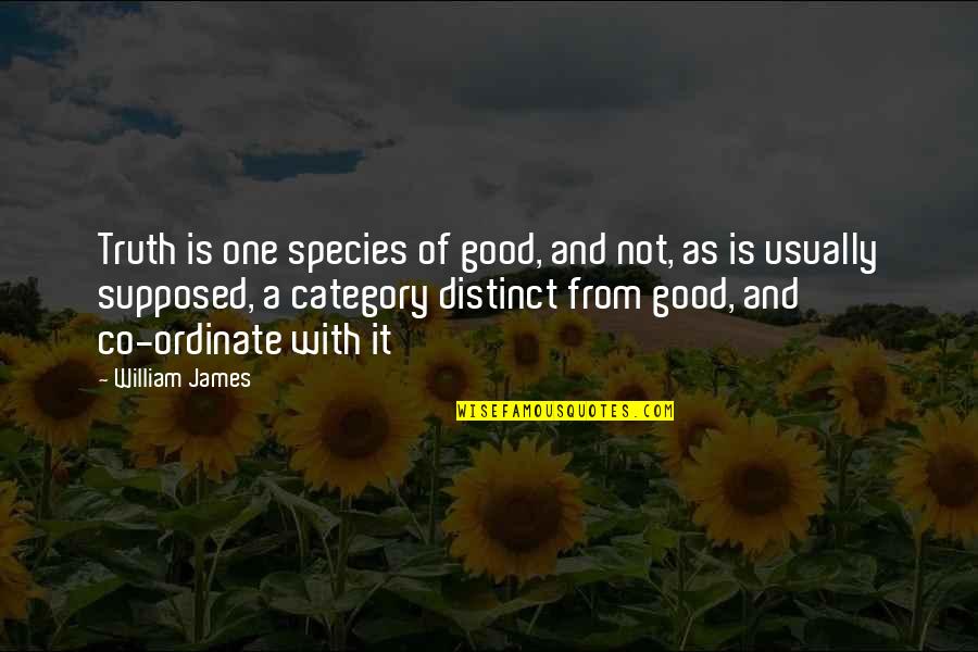 Sandercock Md Quotes By William James: Truth is one species of good, and not, Sandercock Md Quotes By William James: Truth is one species of good, and not,