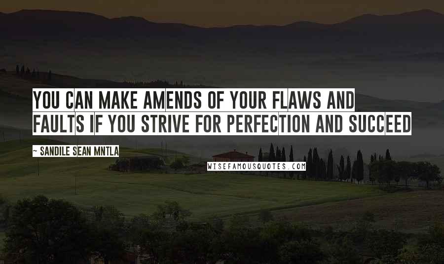 Sandile Sean Mntla quotes: You can make amends of your flaws and faults if you strive for perfection and succeed