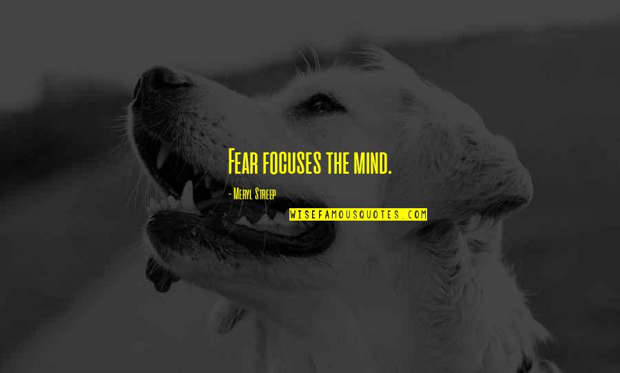 Sandkings Movie Quotes By Meryl Streep: Fear focuses the mind.