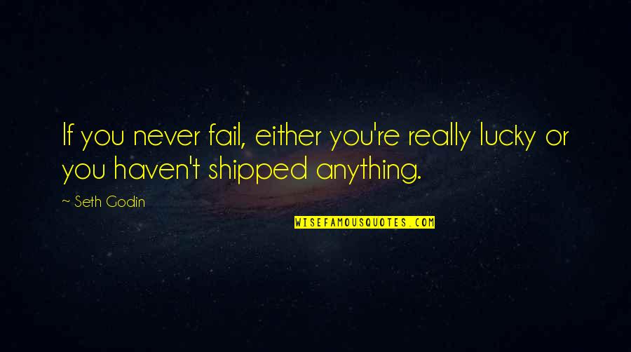 Sandler Travis Quotes By Seth Godin: If you never fail, either you're really lucky