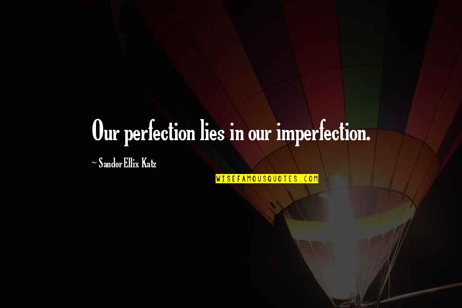 Sandor Katz Quotes By Sandor Ellix Katz: Our perfection lies in our imperfection.