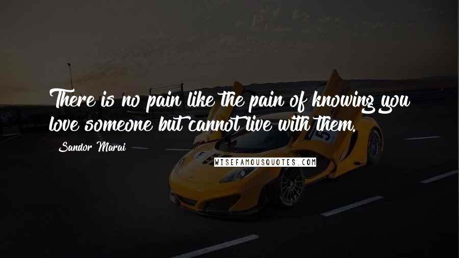 Sandor Marai quotes: There is no pain like the pain of knowing you love someone but cannot live with them.