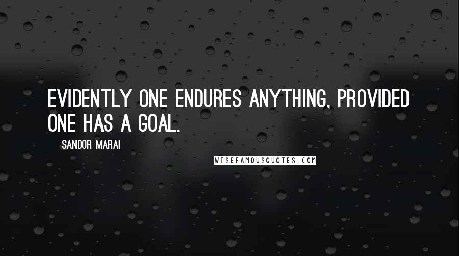 Sandor Marai quotes: Evidently one endures anything, provided one has a goal.