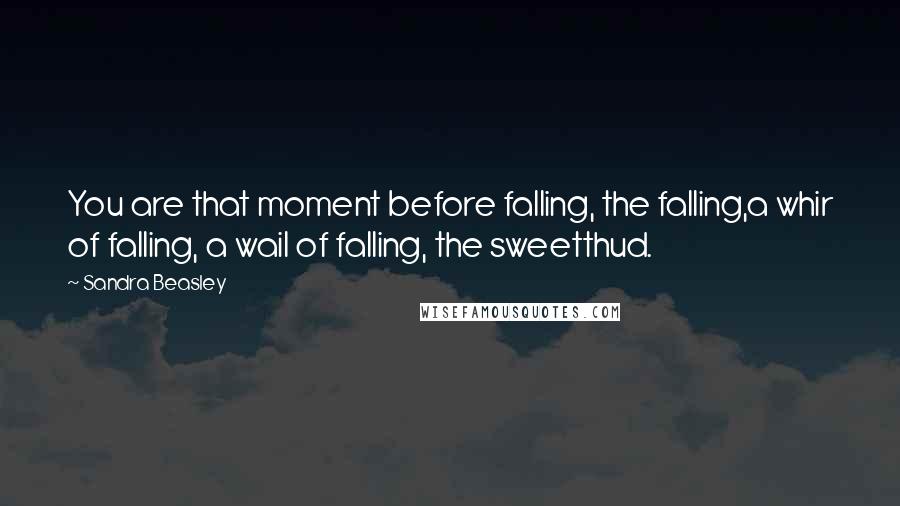 Sandra Beasley quotes: You are that moment before falling, the falling,a whir of falling, a wail of falling, the sweetthud.