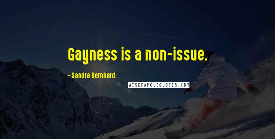 Sandra Bernhard quotes: Gayness is a non-issue.