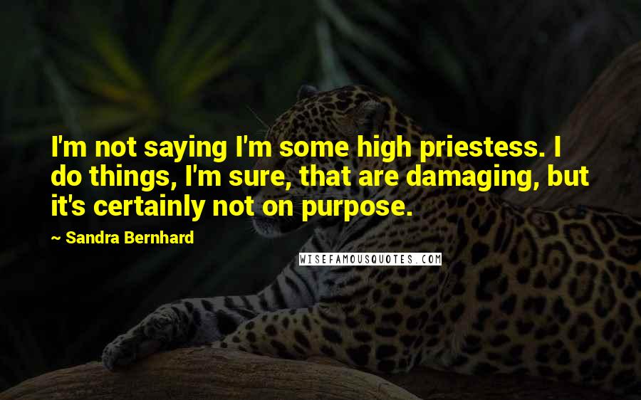 Sandra Bernhard quotes: I'm not saying I'm some high priestess. I do things, I'm sure, that are damaging, but it's certainly not on purpose.
