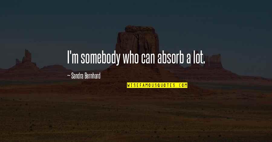 Sandra Bernhard Quotes By Sandra Bernhard: I'm somebody who can absorb a lot.