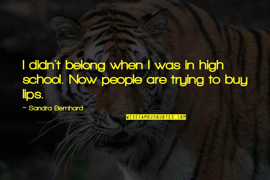 Sandra Bernhard Quotes By Sandra Bernhard: I didn't belong when I was in high