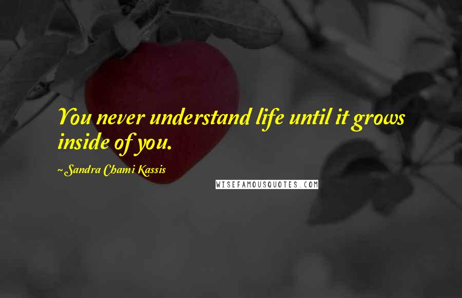 Sandra Chami Kassis quotes: You never understand life until it grows inside of you.