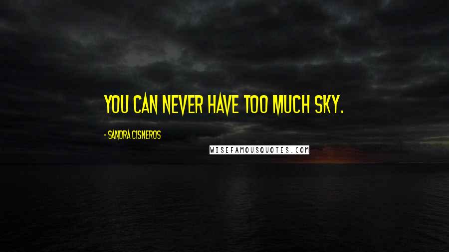Sandra Cisneros quotes: You can never have too much sky.