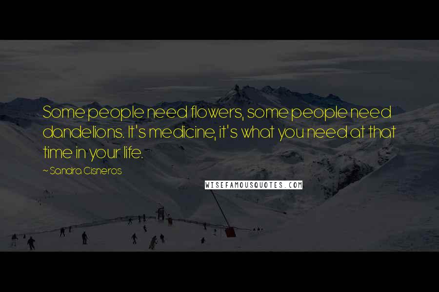 Sandra Cisneros quotes: Some people need flowers, some people need dandelions. It's medicine, it's what you need at that time in your life. Sandra Cisneros quotes: Some people need flowers, some people need dandelions. It's medicine, it's what you need at that time in your life.