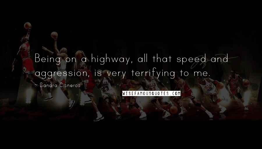 Sandra Cisneros quotes: Being on a highway, all that speed and aggression, is very terrifying to me.