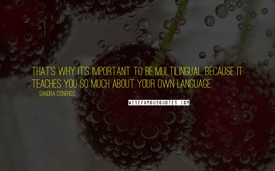 Sandra Cisneros quotes: That's why it's important to be multilingual, because it teaches you so much about your own language. Sandra Cisneros quotes: That's why it's important to be multilingual, because it teaches you so much about your own language.