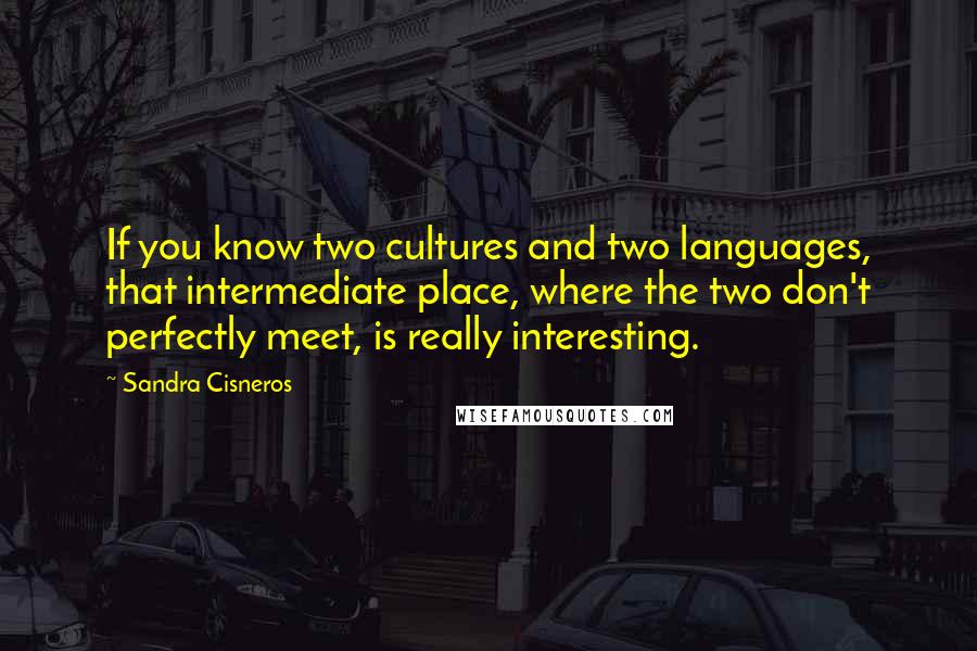 Sandra Cisneros quotes: If you know two cultures and two languages, that intermediate place, where the two don't perfectly meet, is really interesting.