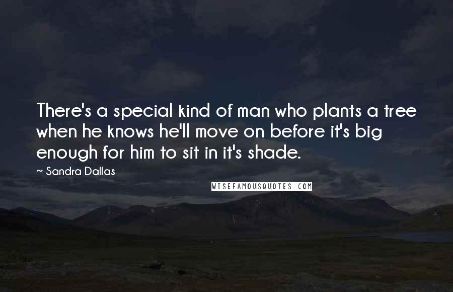 Sandra Dallas quotes: There's a special kind of man who plants a tree when he knows he'll move on before it's big enough for him to sit in it's shade. Sandra Dallas quotes: There's a special kind of man who plants a tree when he knows he'll move on before it's big enough for him to sit in it's shade.