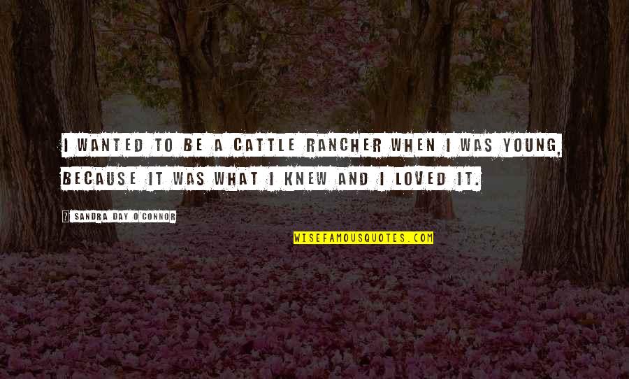 Sandra Day O'connor Quotes By Sandra Day O'Connor: I wanted to be a cattle rancher when