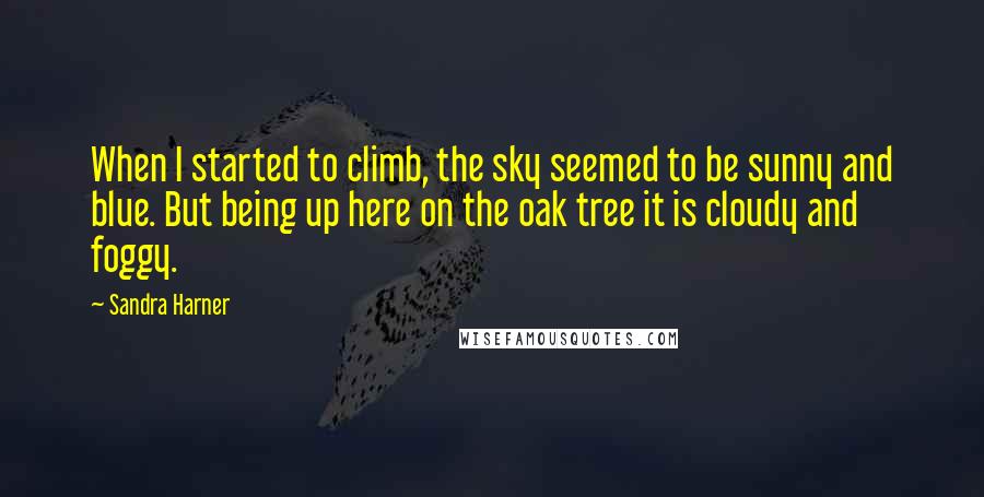 Sandra Harner quotes: When I started to climb, the sky seemed to be sunny and blue. But being up here on the oak tree it is cloudy and foggy.