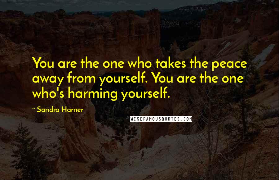Sandra Harner quotes: You are the one who takes the peace away from yourself. You are the one who's harming yourself.