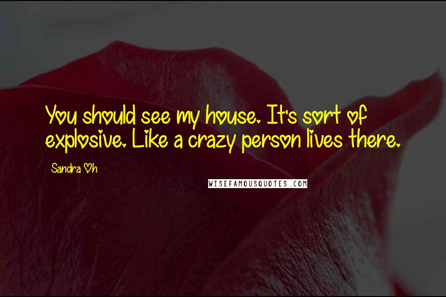 Sandra Oh quotes: You should see my house. It's sort of explosive. Like a crazy person lives there.