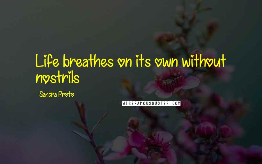 Sandra Proto quotes: Life breathes on its own without nostrils